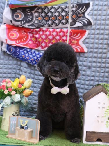 20230524クロちゃん